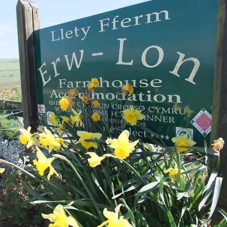 Erw-Lon Farm Bed & Breakfast Pontfaen Exterior photo