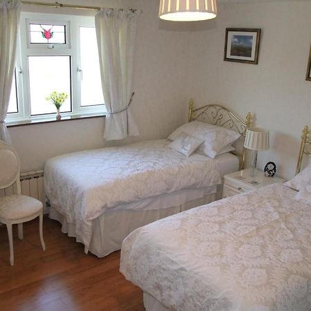 Erw-Lon Farm Bed & Breakfast Pontfaen Room photo
