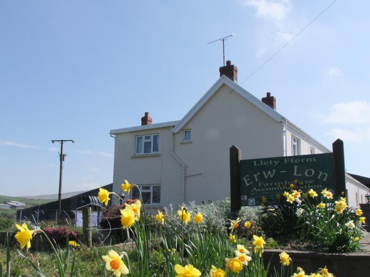 Erw-Lon Farm Bed & Breakfast Pontfaen Exterior photo