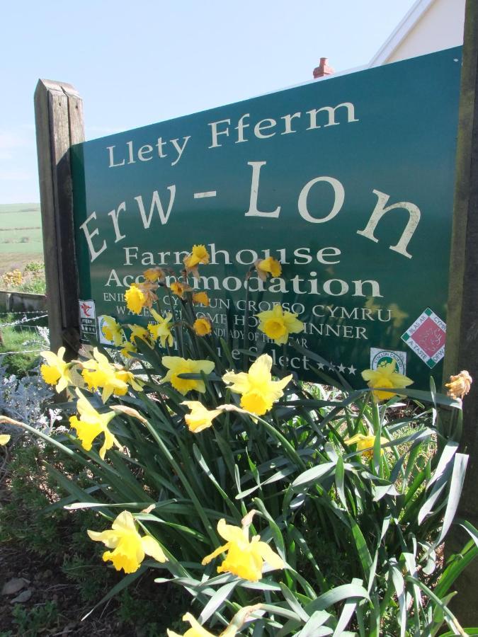 Erw-Lon Farm Bed & Breakfast Pontfaen Exterior photo