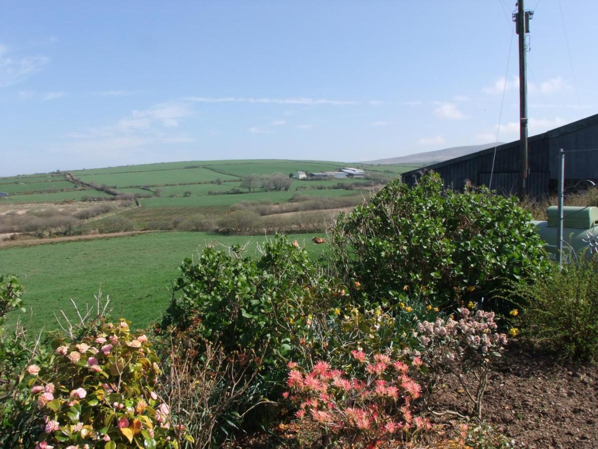 Erw-Lon Farm Bed & Breakfast Pontfaen Exterior photo